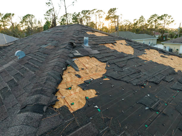 4 Ply Roofing in Caraway, AR